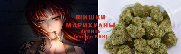 стафф Богородск