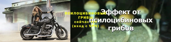 дживик Богданович