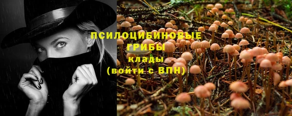дживик Богданович