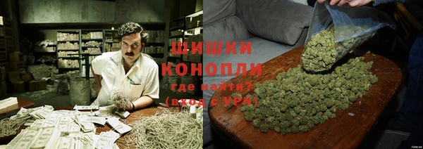 стафф Богородск