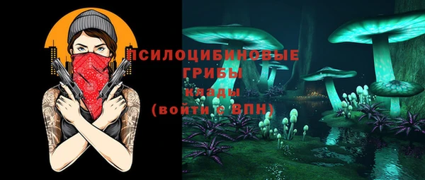 стафф Богородск