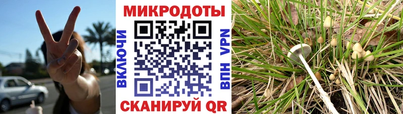 Галлюциногенные грибы ЛСД  мориарти официальный сайт  Кологрив  продажа наркотиков 